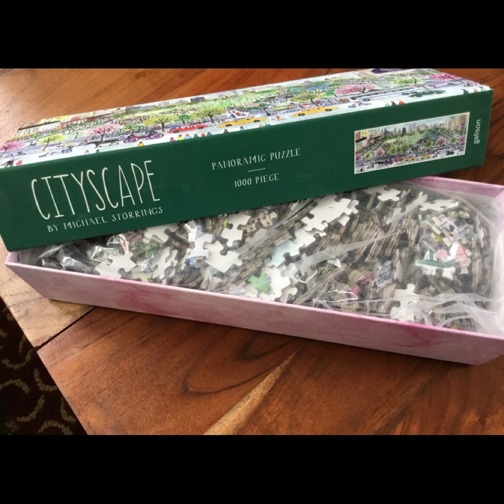 CITYSCAPE Panoramic Puzzle, bag never opened